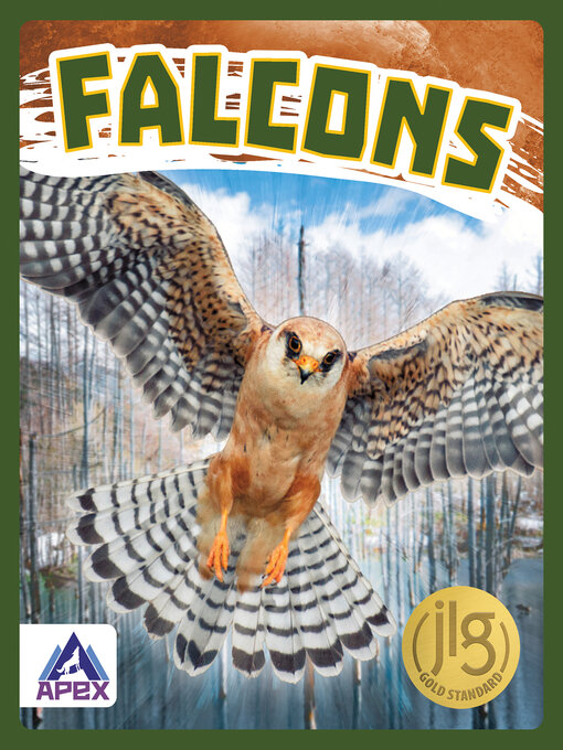 Title details for Falcons by Connor Stratton - Available
